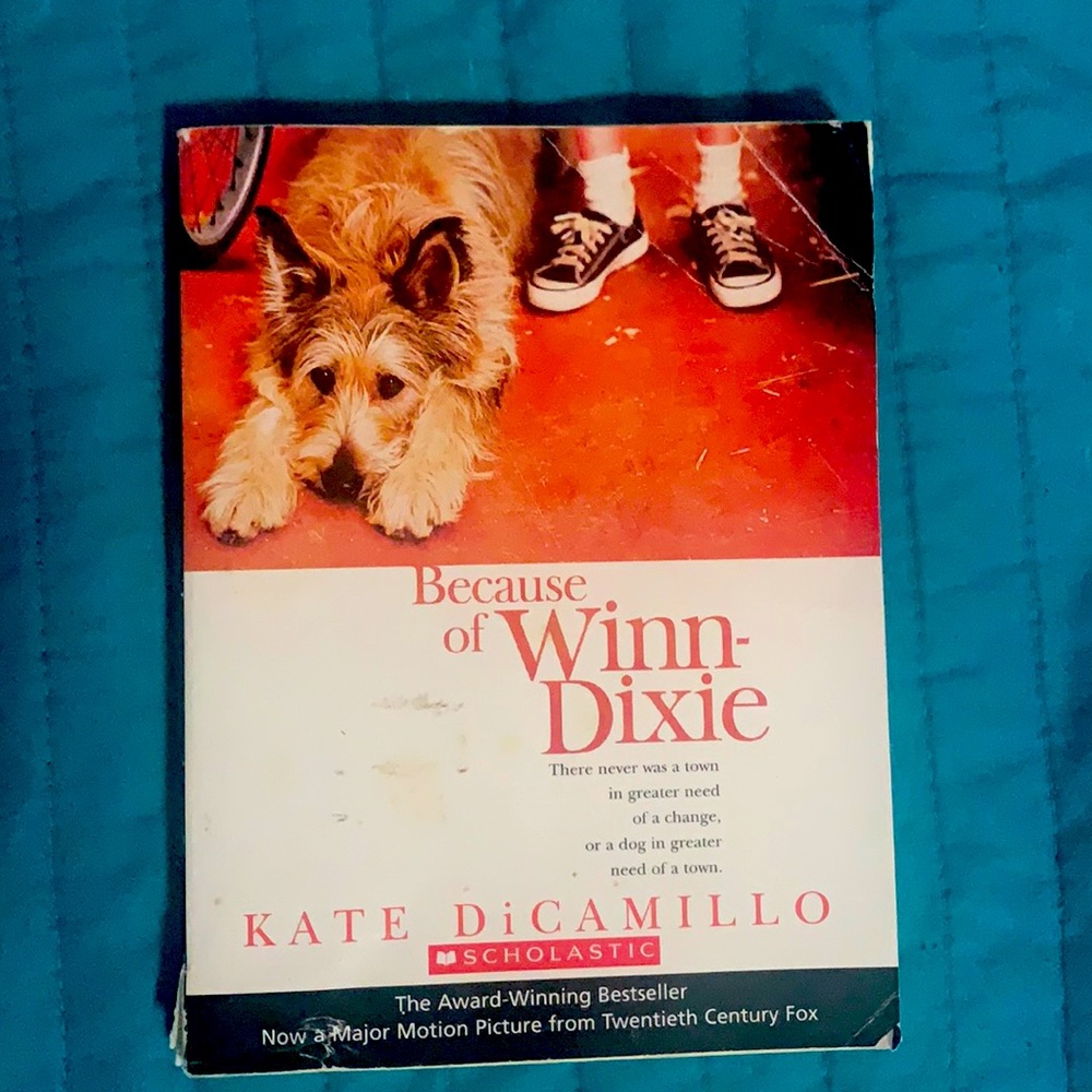 Because of Winn-Dixie